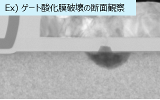 形状観察/物理解析 イメージ